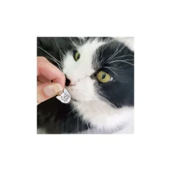 James Avery Artisan Jewelry Charms-Cat Mom Charm