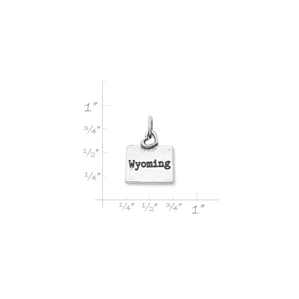 James Avery Artisan Jewelry Charms-My "Wyoming" Charm