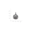 James Avery Artisan Jewelry Charms-Sand Dollar Charm