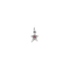 James Avery Artisan Jewelry Charms-Shining Star Birthstone Charm